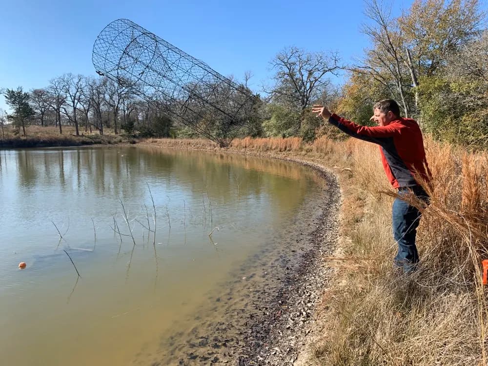 A Shoreline Trapping crew member setting a cage trap at a Texas pond