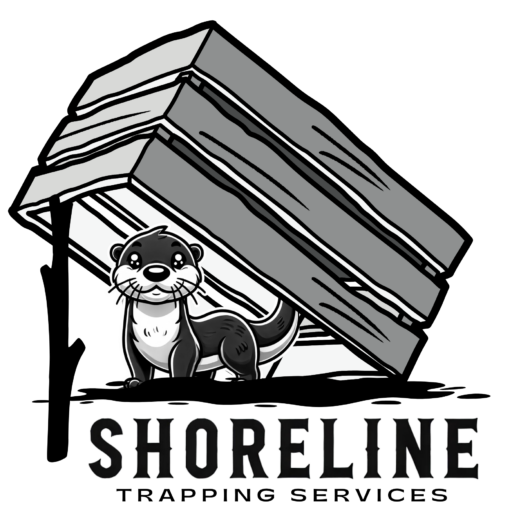 SHORELINE TRAPPING SERVICES
